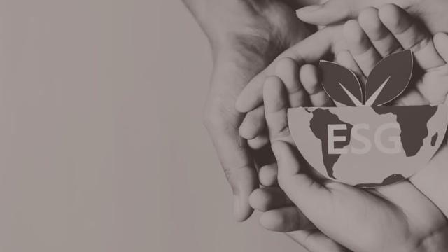 Esg Csrd Duurzaam Ondernemen Sheeo