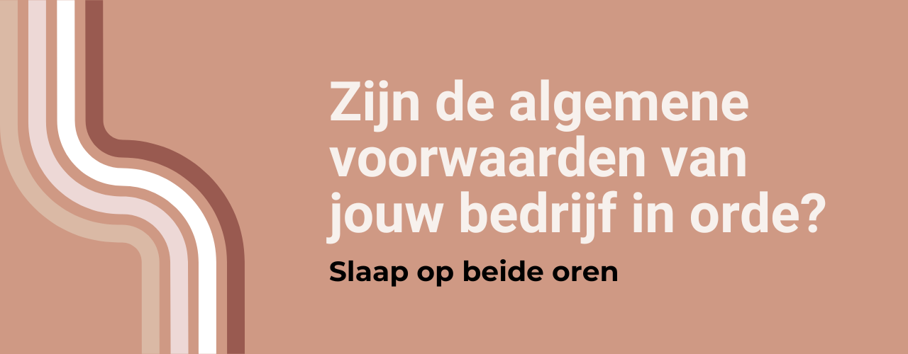 Algemene Voorwaarden Bedrijf Sheeo (1)
